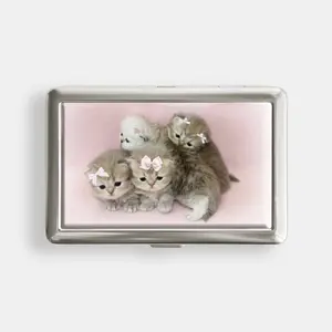 Coquette Kitty 100s or King Size Case Storage Box Card Holder Metal Wallet