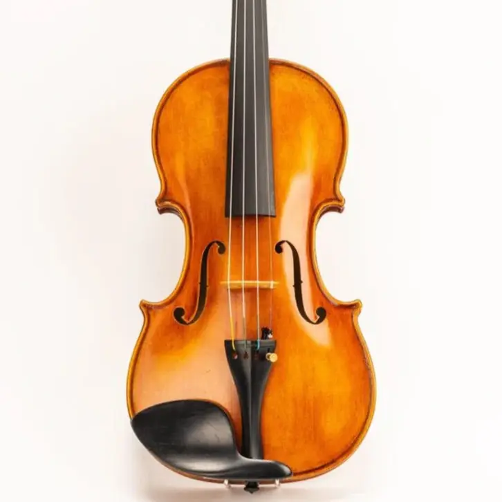 D Z Strad Violin - Model 900 - Full Size 4/4 Violin Outfit (includes Dominant Strings, Bow, Case and Rosin)