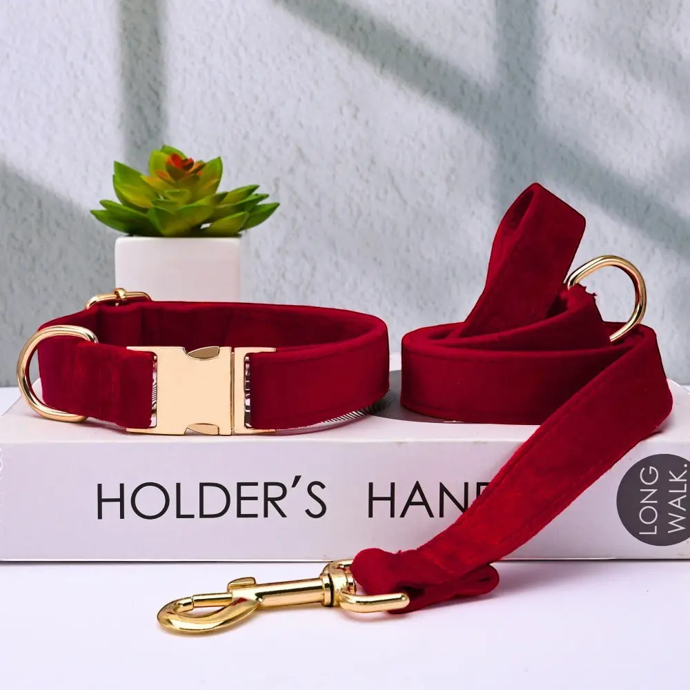 The Windsor Dog Collar & Leash