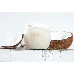 Coconut Cream Body Scrub 14oz