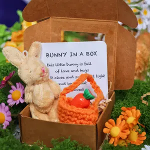 Mini Plush Rabbit Doll, Soft Stuffed Animal, 1 Count Cute Adorable Bunny with Inspirational Encouragement Card, Sympathy Gift