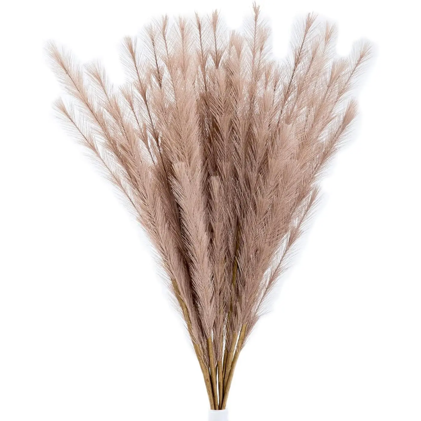 Faux Pampas Grass 8 count 30"/76cm Dried Fluffy Artificial  Ascendant Grass for Vase Fillers Wedding Party Bouquets Home Hotel Centerpieces Decor (Beige)