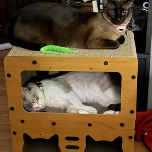 【Already have 10K favorites】2 in 1 Cat Bed with Scratching Board Pet Furniture for Indoor Cats Suitable for multiple cats Durable Double Layer Design Cat Bed Stylish and Comfortable Cat Furniture for All Seasons Wooden cat bed