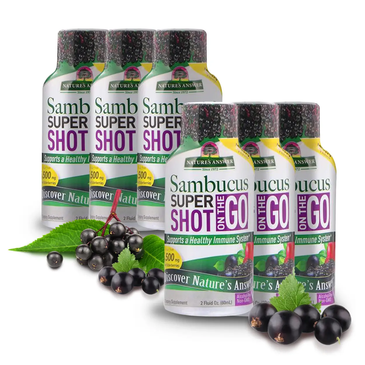 Nature's Answer Elderberry Shot on The Go | Sambucus Immune Travel Shot | 12 Pack | 2oz | Alcohol-Free | Non-GMO | Immune Support  Supplement
