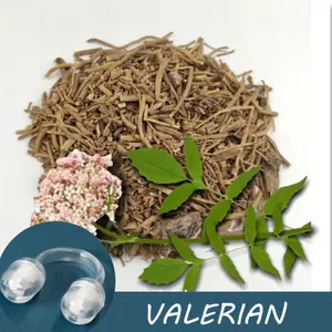 Valerian Essential Oil Nasal Inhaler