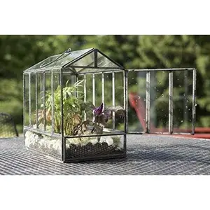 Urban Born Glass House Terrarium Black 10"x7"x10"