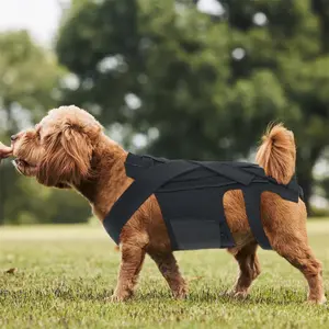 Breathable Dog Back Brace for IVDD Support & Injury Recovery | Comfortable Pet Lumbar Protector | Adjustable S/M/L