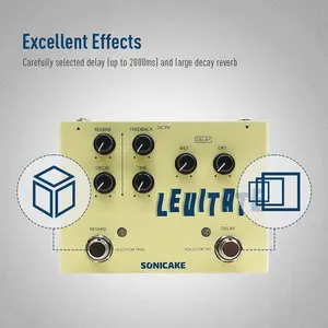 QDS-02 Levitate Digital Delay and Reverb 2 / 1 Effects Pedal w/Pwr Adapter