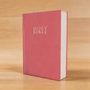 Niv, Gift and Award Bible, Leather-Look, Pink, Red Letter Edition, Comfort Print