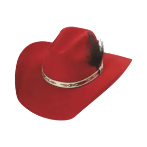 Quincy Boots Texana Sombrero Vaquero Para Mujer Western Cowgirl Hats Made in Mexico 4" Brim High-Quality Wool