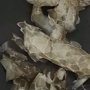 Snakeskin for candles, snakeskin for protection,  snakeskin for letting go of old and bring in new, snakeskin for hex& jinx, oddity vile.