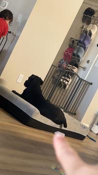 product review image from Mimi Harper 3