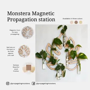 Monstera Deliciosa Magnetic Propagation Station by Propagating Monsters - Functional Wall Art for Plants