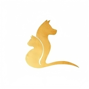 YOTANGO PET