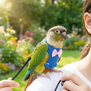 Parrot Harness Training Flying Rope Set, Parrot Outdoor Leash, Sun Conure Budgie Tiger Stripe Small Sun Release Rope, Bird Flight Vest