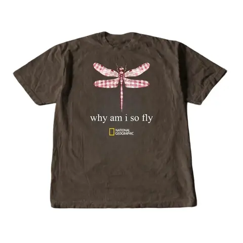 Gildan Men's and Women's T-shirt, National Geographic dragonfly t-shirt, "why i am so fly", Animal tee, Y2k Unisex Graphic Tees Gothic Grunge Emo Scene Amity Affliction Style Clothes Menswear Womenswear Streetwear