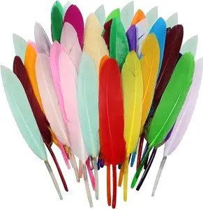250pcs Colorful Goose Feathers for DIY Craft, 4-6 Inches Feathers for Costumes Jewelry Wedding, Home Party Decorations, Arts Craft DIY Projects