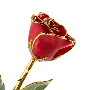 24K Gold Forever Rose - Red