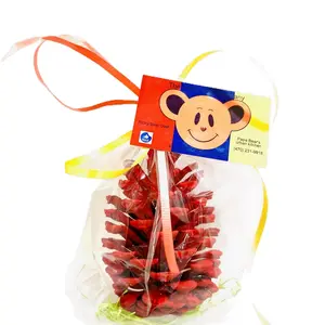 Ricky Bear Holiday Pine Cones