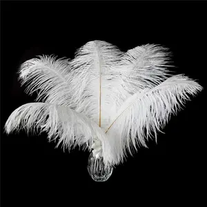 Ostrich Feathers 24pcs Natural White 10-12inch (25-30cm) for Centerpieces, Flower Arrangements & Home Decoration