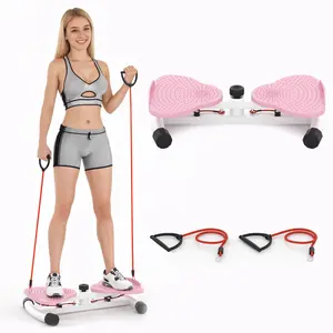 HOMHUT Aesthetic Heart-Shaped Twist Board Ultra-Quiet Waist Twister with Adjustable Base for Small Space Blue&Pink