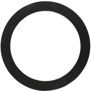ALA-PT APCG3429 2 in. A Bulkhead Gasket