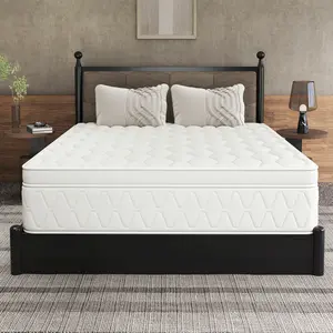 queen size mattress 12/14-Inch Twin, Full, Queen, King Size Memory Foam Mattress (with Independent Springs), Pressure Relief, Motion Isolation & Stable Edge Support, Spring Mattress in a Box, Gel-Infused Memory Foam