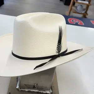 STETSON HAT FEATHER 1 Pack