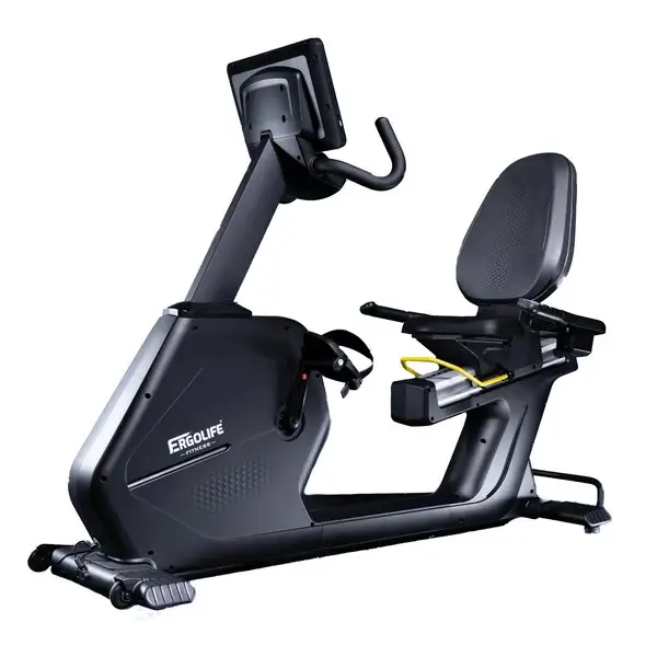 ERGOLIFE BR201E Recumbent Exercise Bike with Adjustable Resistance, LCD Display, Comfortable Seat, Home Cardio Bike for Seniors & Adults