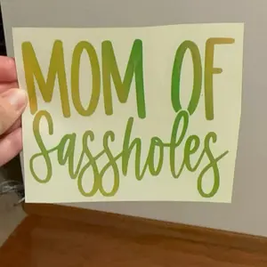 Mom of sassholes vinyl recall great for cars, trucks, windows, cups, and planners