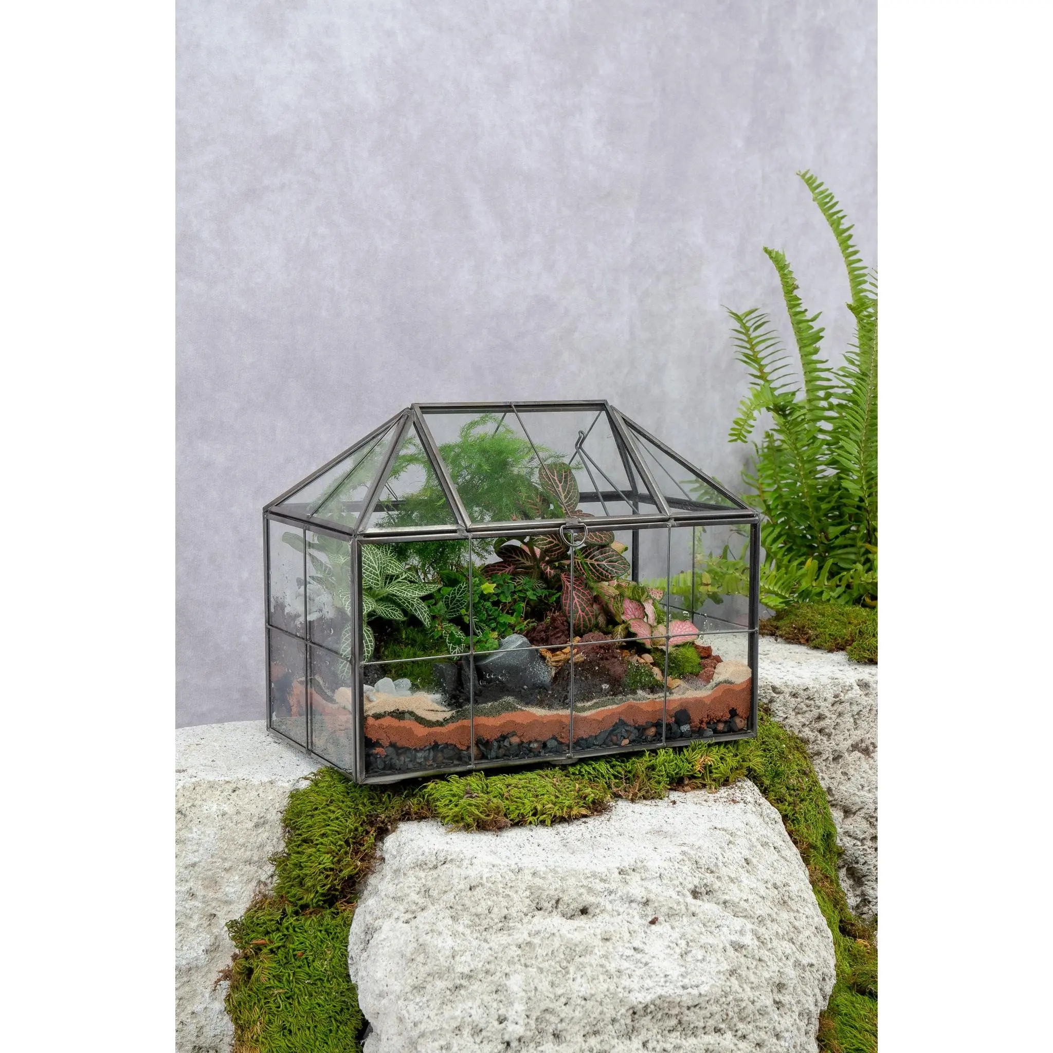 Greenhouse Terrarium Greenhouse Terrarium