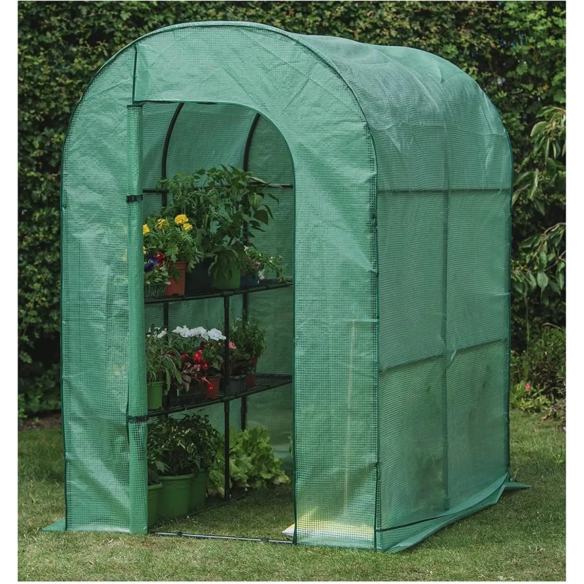 212 MAIN Premium Heavy Duty Greenhouse with Built-in Stability Pockets, Reinforced Cover, Round Roof, Steel Frame – Seed Starters, Home Improvement Use for Balcony, Backyards, All-Year Long, Built In Stability Pockes