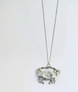 Stainless steel necklace with crab pendant