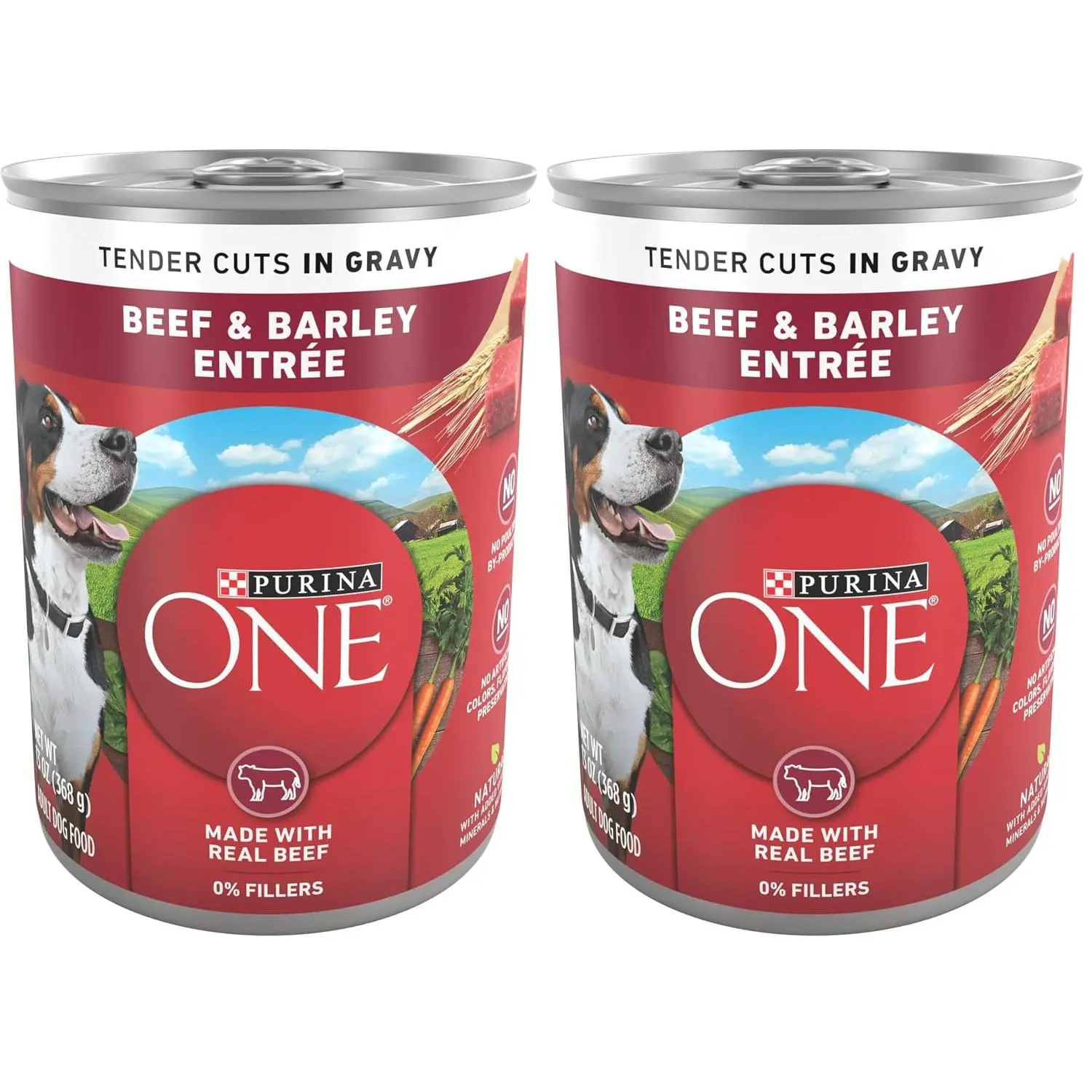 Purina ONE Natural Wet Dog Food Gravy, Tender Cuts in Gravy Beef and Barley Entrée - 13 Ounce (Pack of 12)
