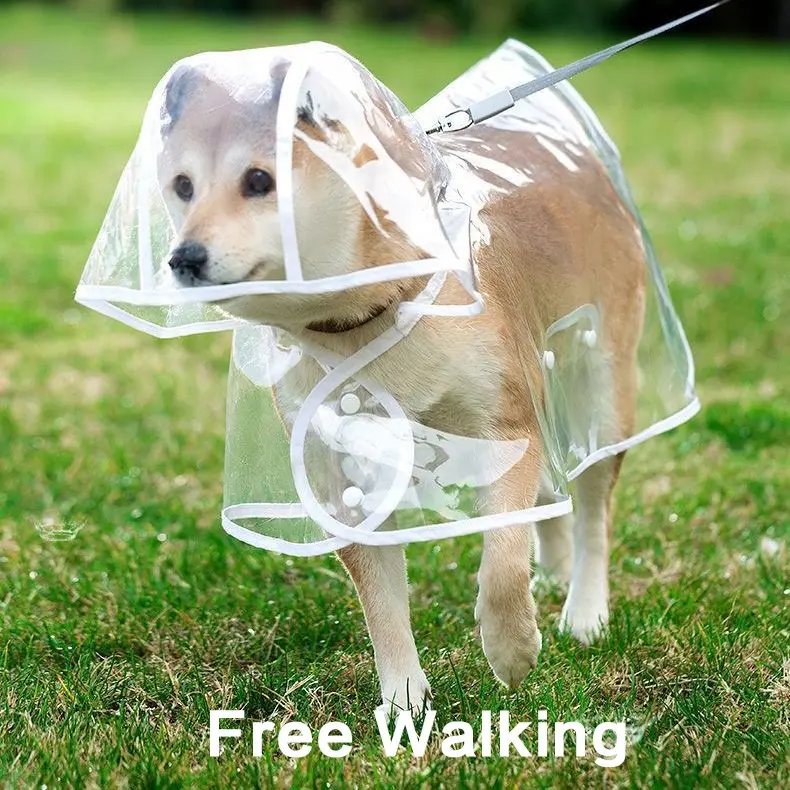 Transparent Thick Cape Dog Raincoat for Small Medium Dogs - TikTok Shop