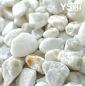 Grade A White Polished River Pebbles 0.40 cu. ft. 1 in. to 2 in. 30 lbs