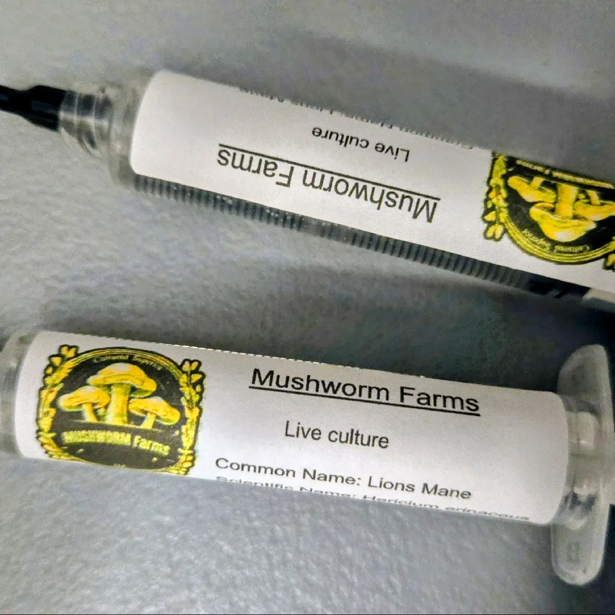 Lions Mane live culture 8ml syringe