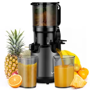 GDOR 5.3" Cold Press Juicer with 250W Motor, Slow Squeeze Juicing Machine, Large Feed Chute for Whole Fruits No Cutting, Easy Reverse Clean, US Plug, Gun Grey for Morning Juice & Detox