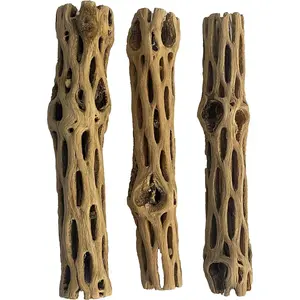 Natural Cholla/Choya Wood 3 Pieces 6” for Shrimp Habitat and Food Treat Hermit Crabs Plecos Aquarium Decoration Lowers pH Hideouts and Chew Toys Reptiles Thorn Free Dried Organic