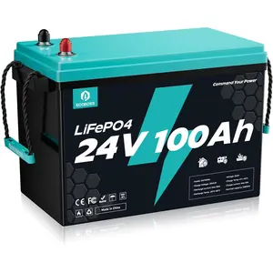 [LiFePO4 Battery]24V 100Ah LiFePO4 Battery, 2560Wh, 100A BMS, 15000+ Cycles, Low Temp Cutoff for Solar, RV, Off-Grid & Backup Power