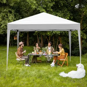 【Father's Day Gift】Outvita 10 Ft X 10 Ft Straighted Legs Folding Pop-up Canopy with Carry Bag Summervibes