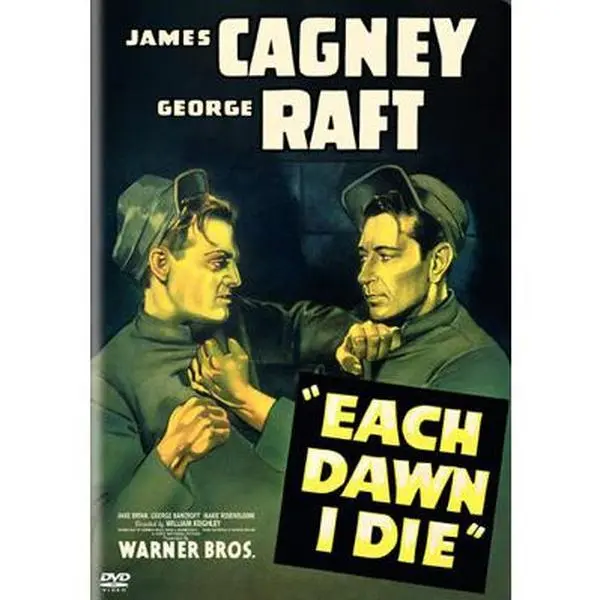 USED-Each Dawn I Die (DVD)