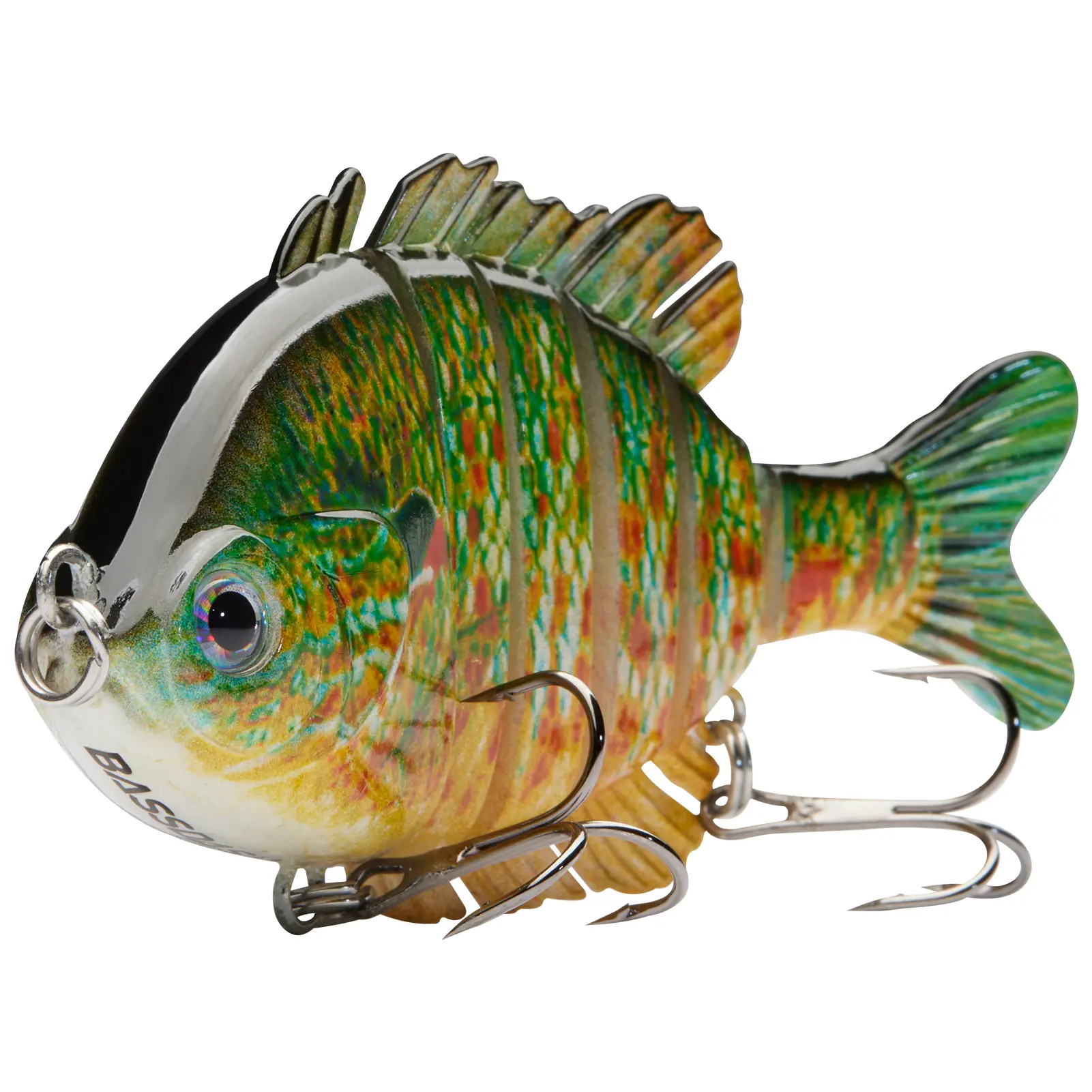 Green/Orange Pumpkinseed