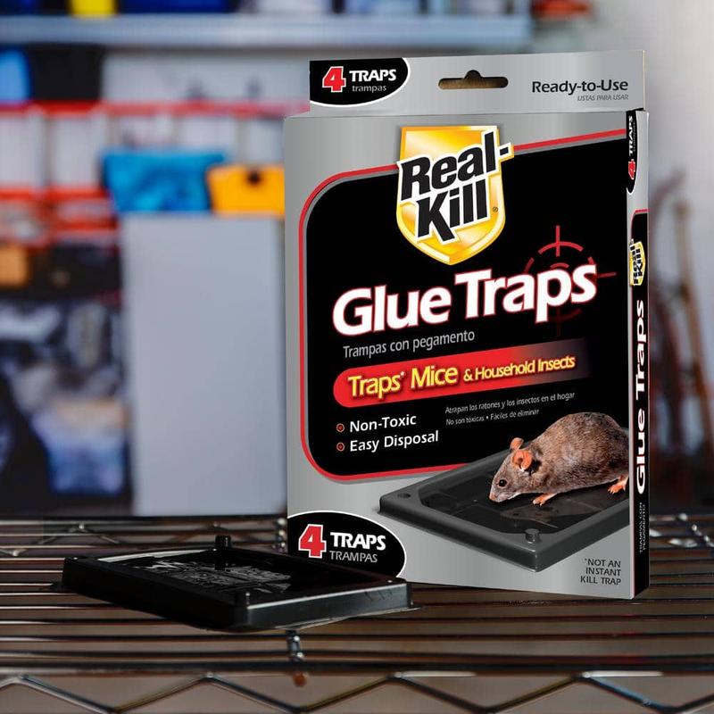Mouse Glue Traps Non-Toxic (4-Count)