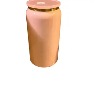 Gold Plated Glossy 16oz Stainless Steel Beer Can with Colored PP Lids by Brand Name Drinkware Flasks Plastic Insulated Tumbler for On-the-Go Beverages Stylish & Durable Double Wall Vacuum Insulation Portable Mug for Home or Travel