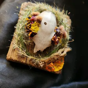handmade squirrel skull & mummified paw oddity