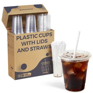 100 Pack 16oz Clear PET Disposable Cups with Lids & Straws – Easy Grab Cups for Gatherings, Office, Parties & Events with Storage Box