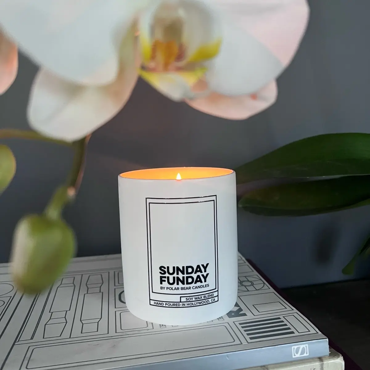 Sunday Funday by Polar Bear Candles 6oz Soy Wax Blend