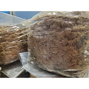 Supplemented Hardwood "Masters Mix" Substrate for Wood Loving Species (5lb or 10lb)