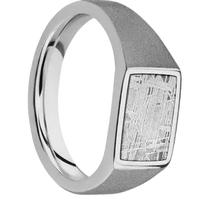 Small Horizontal Rectangle signet ring (12x9mm) in Titanium, with a Wide style band, a Meteorite inlay.